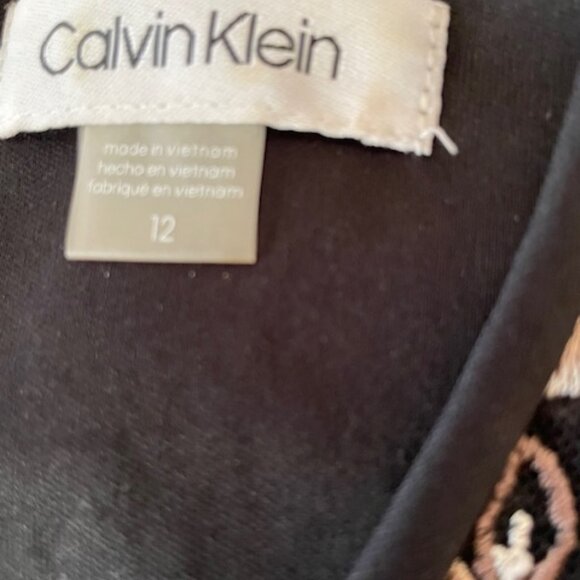 Calvin Klein Dress with Embroidery - Size 12 - Picture 5 of 6